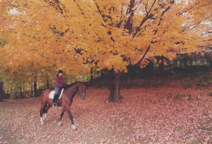 1994 - Jane Scott and horse Rebel at Sunnybrook Park