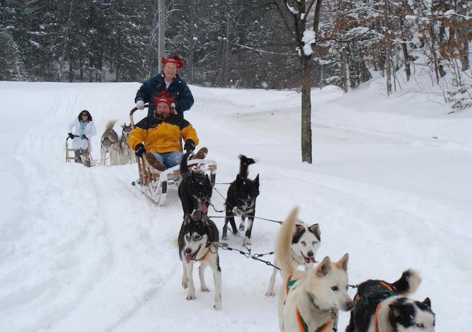 dog sledding in orillia - Ontario Winter Destinations