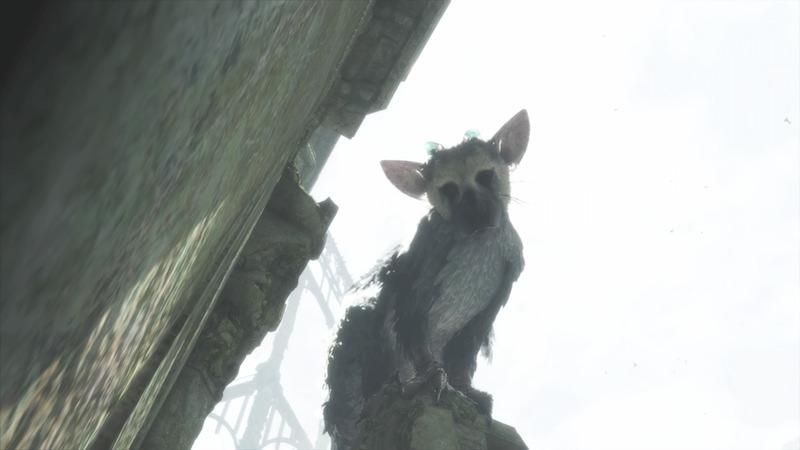 The Last Guardian Review: Vertigo, Déjà Vu, and one Very Big Cat