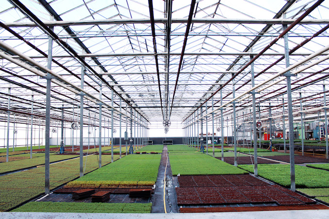 Greenbelt microgreens greenhouse