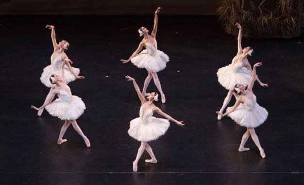 Swan Lake Ballet Feels Like Flying - Toronto Guardian