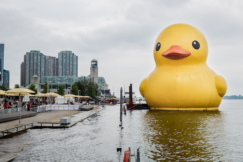 largest rubber duck Toronto