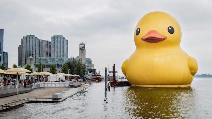 The World's Largest Rubber Duck has Arrived in Toronto