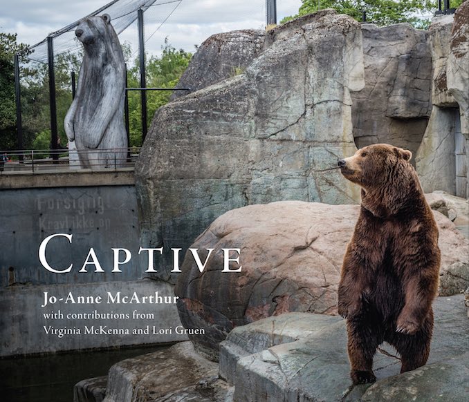 Captive book cover