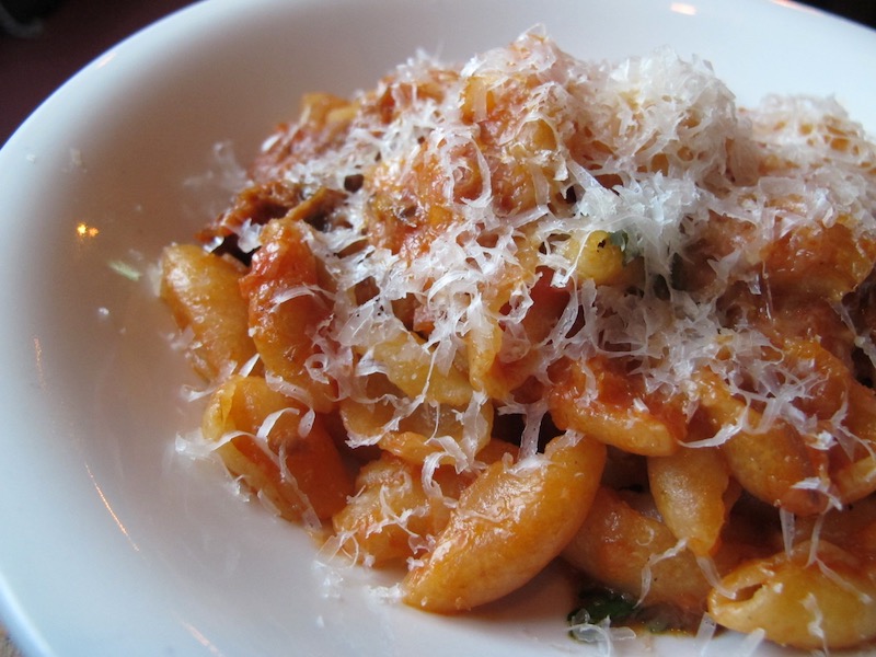 Orrechiete with goat ragu