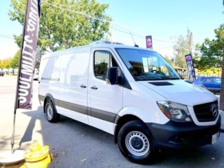 The Doggy Daycare with a Private Park & Custom-Designed Dog Shuttles