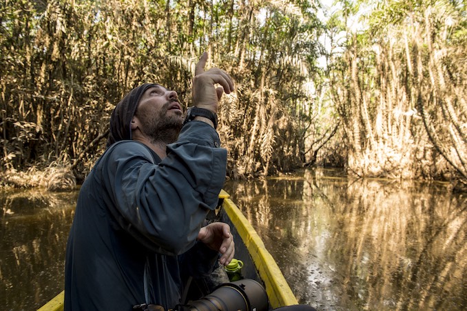 Neil Ever Osborne in a swamp near the Tiputini Biodiveristy Station while on assignment with Audubon Magazine. Ecuador.