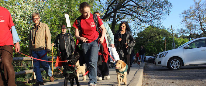 Dog Guides Pet Valu Walk