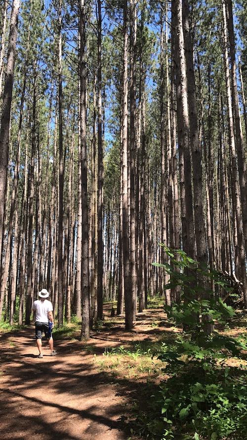 A sunny weekend hike with my boyfriend