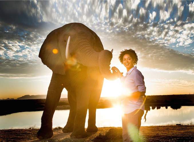 ice elephant