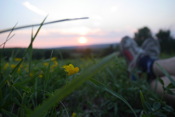 A lovely sunset at Electric Eclectics Music Festival 2018