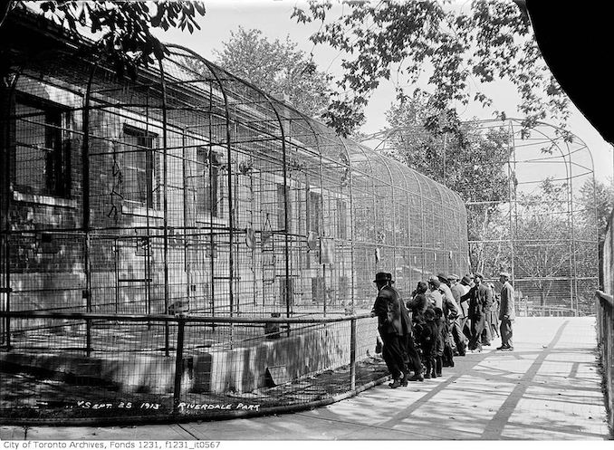 1913 - September 25 - Riverdale Zoo, monkeys