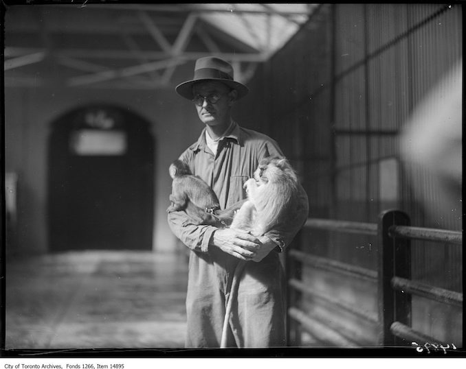 1928 - September 17 - Riverdale Zoo, small monkey