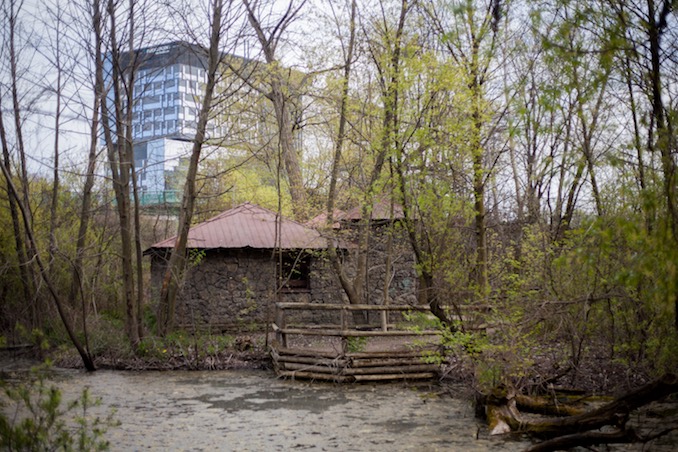 Riverdale Farm - 2016 - Photo by Joel Levy