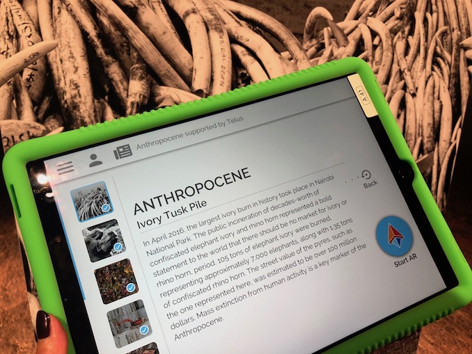 Anthropocene at the art gallery of ontario