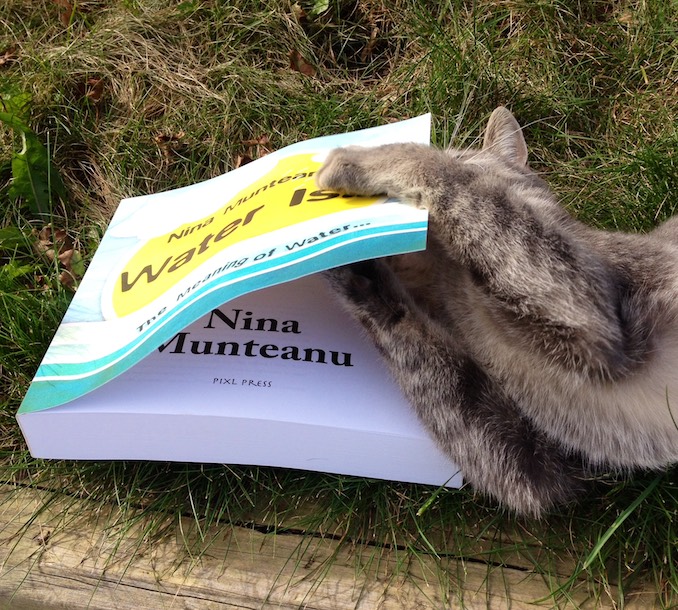 The cat gets to Nina’s last book, a real page turner, it seems…