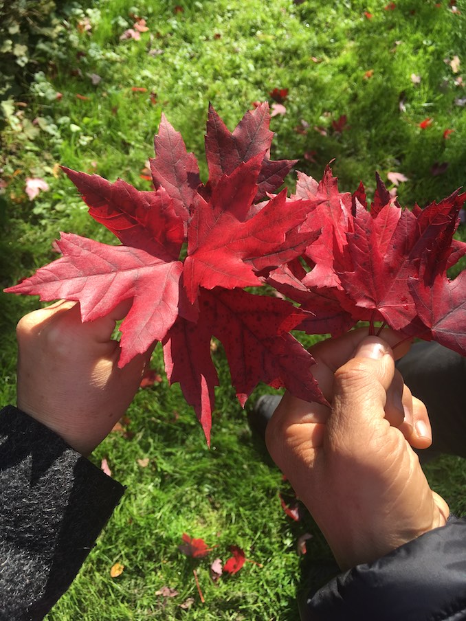 Autumn walk with my sweetheart. We love nature and taking walks parks and by the lake