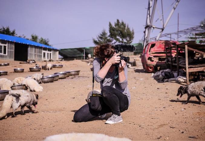 Filming rescued foxes at a Buddhist animal sanctuary in Hebei, China