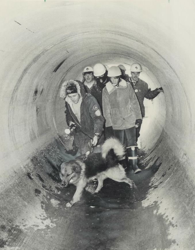 1975 - After 9-year-old Simon Wilson was reported missing in January, 1975, police officers and volunteers explored Etobicoke's sewer tunnels and Searched Mimico Creek. No trace of Simon was found