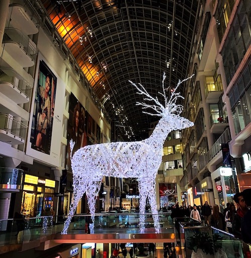 Top 10 Places to find the magic of Christmas in Toronto