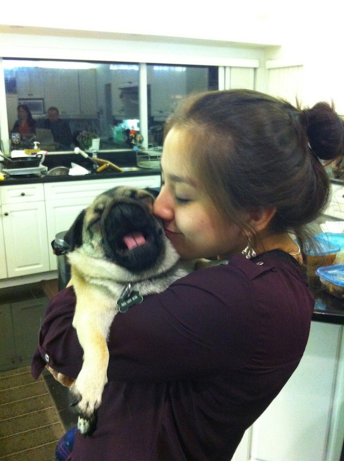 Alicia Ault - My little pug, Wednesday!  Clearly she loves me just as much as I love her.