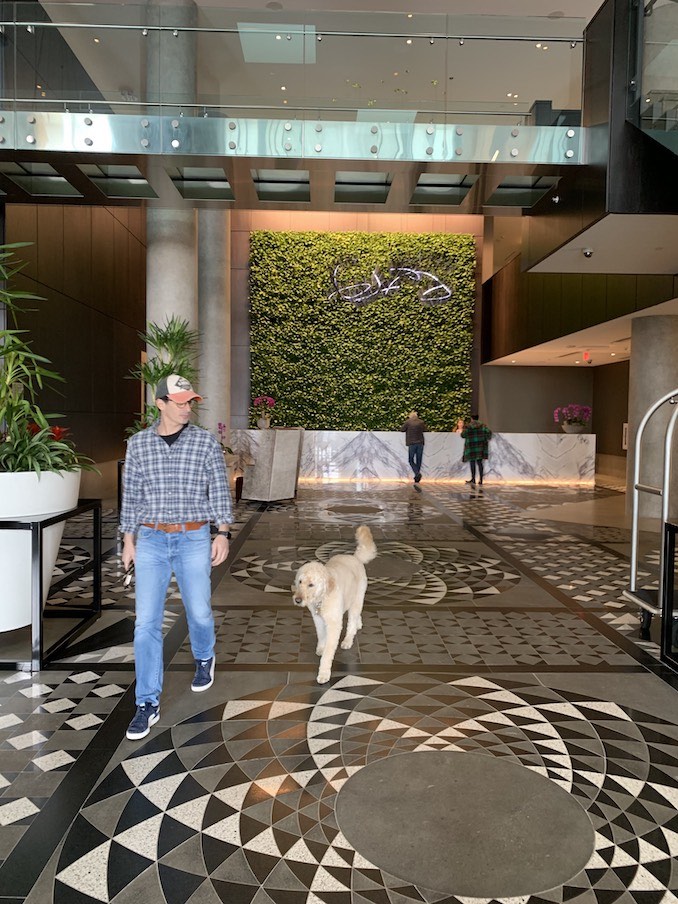 Taking a stroll with Junior through the lobby of Hotel X Toronto (it's pet-friendly!).