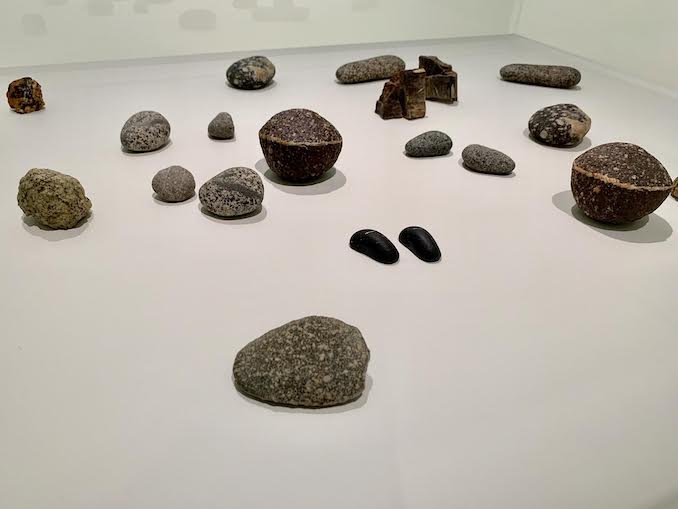 Vija Celmins: To Fix the Image in Memory exhibition now at the AGO