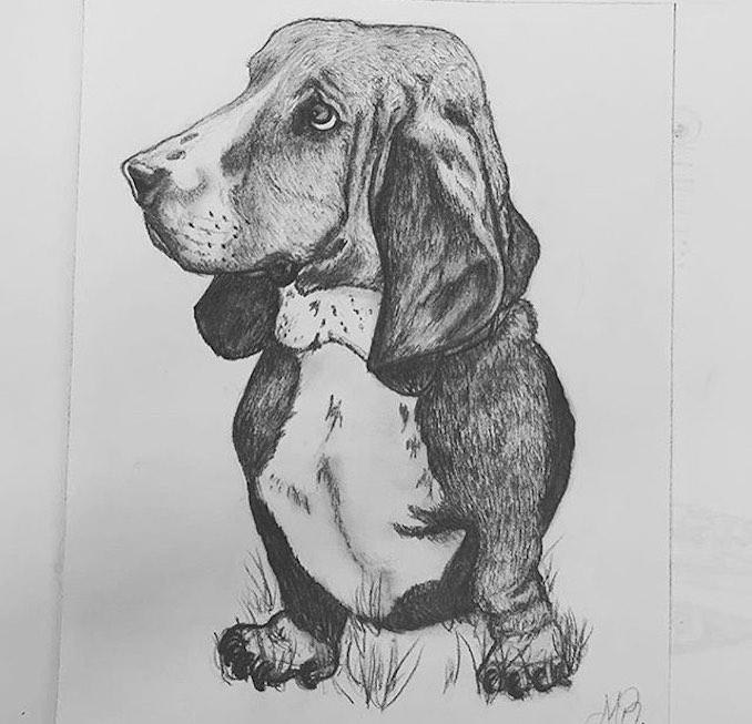 #2 A portrait of Chloe, my old dog who passed that I drew.