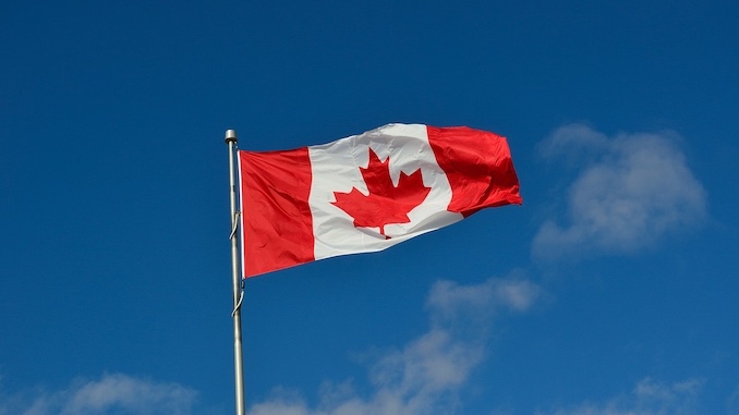 canadian election flag - canadian voters