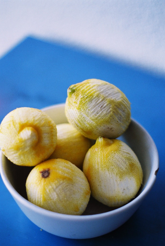 Katrina Cervoni - I love to cook and eat — they're both my favourite forms of procrastination. These lemons were from a lavender & lemon loaf I made.