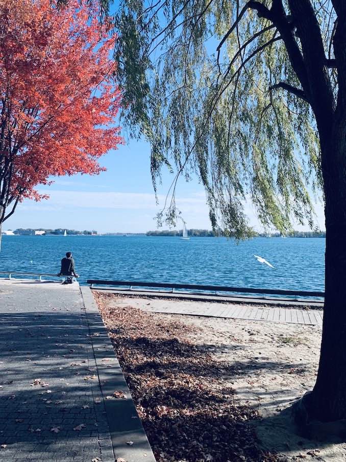 A waterfront detour walk on the way home.