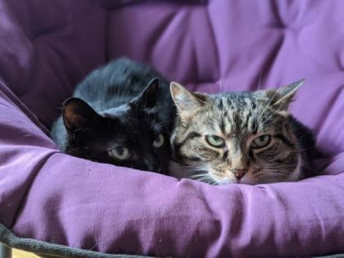 Adisa (left) and her Mom, Tiger Mama