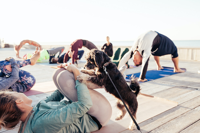 6 Benefits Of Joining Puppy Yoga Sessions