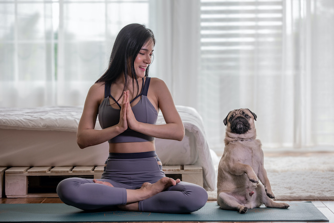 Six Benefits Of Joining Puppy Yoga Sessions