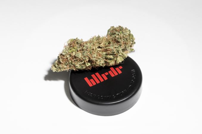 Homegrown Business: Introducing BLLRDR cannabis