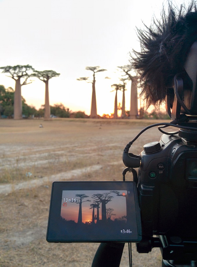 Filming sunset through the baobabs in Madagascar