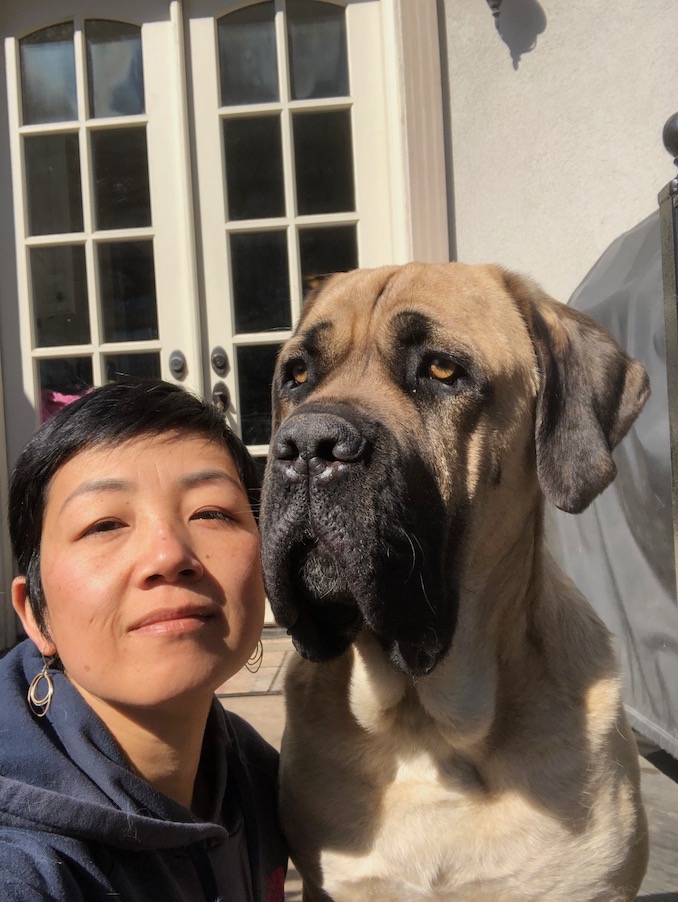 Xin Wang - With my Cane Corso