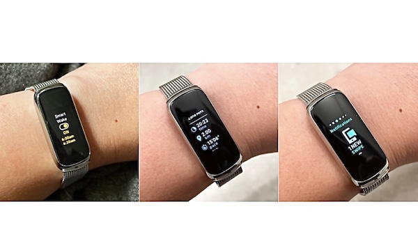 Fitbit Luxe appears in leaked images with stainless steel body and