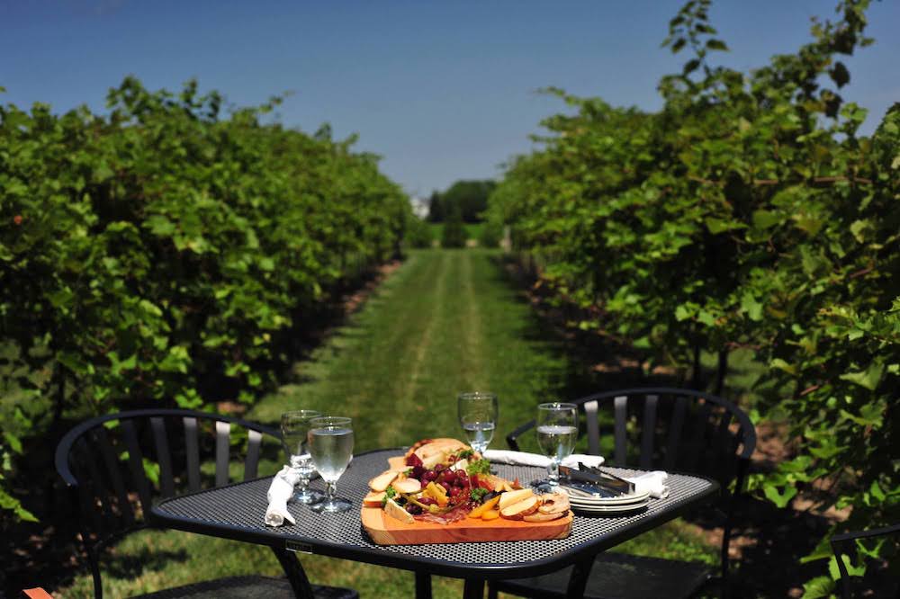 Escape to Huron Shores: Visiting One of Ontario’s Emerging Wine Regions