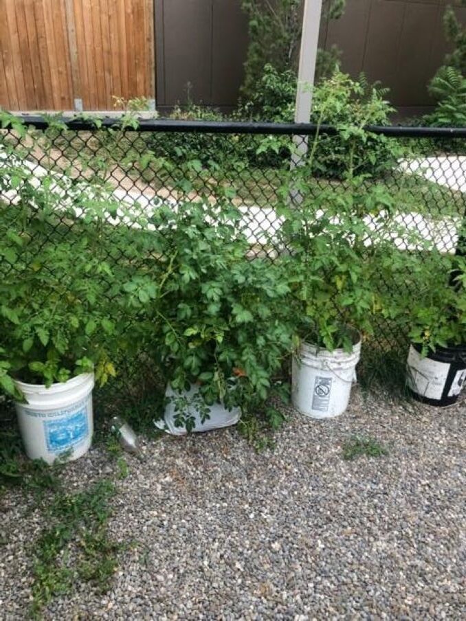 I enjoy watering my cousin’s plants. It’s really cool to take care of something.