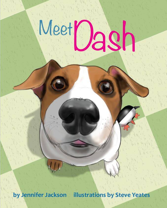 Meet Dash - book cover design and illustration