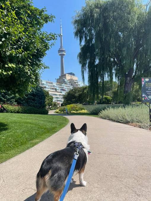 Our Favourite Places to Picnic in Toronto