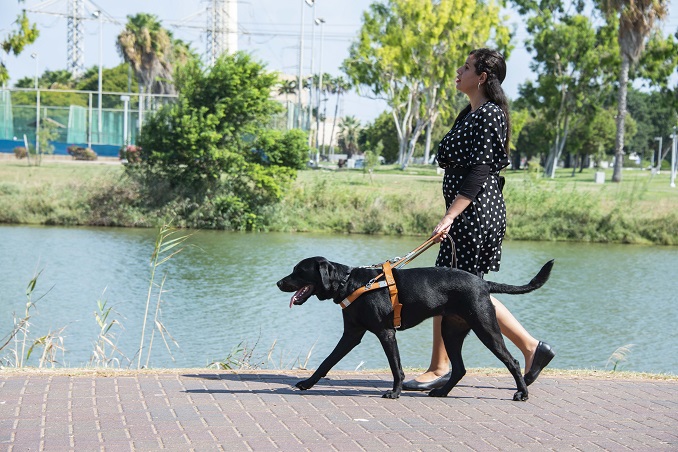 Israel Guide Dog Center for the Blind