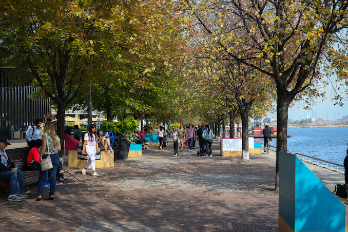 Waterfront - Redpath Waterfront Festival