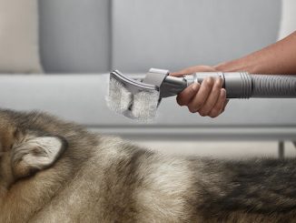 dyson pet grooming vacuum