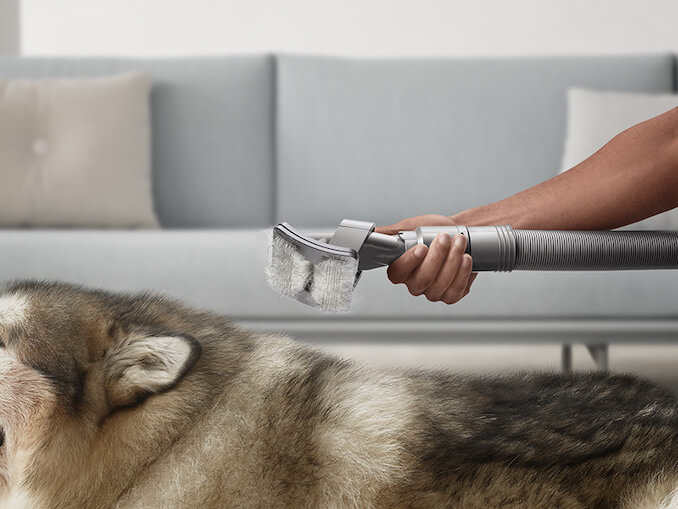 Dyson dog grooming cheap tool review