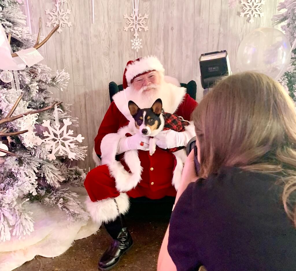 where can my dog take a picture with santa