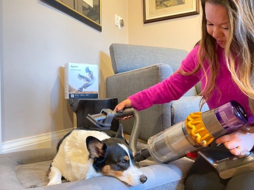 Review: Dyson's NEW Pet Grooming Kit
