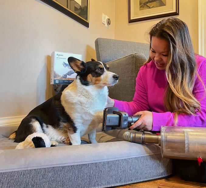 Nervesammenbrud Vedrørende Deltage Review: Dyson's NEW Pet Grooming Kit