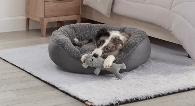 Dog ugg cheap bed